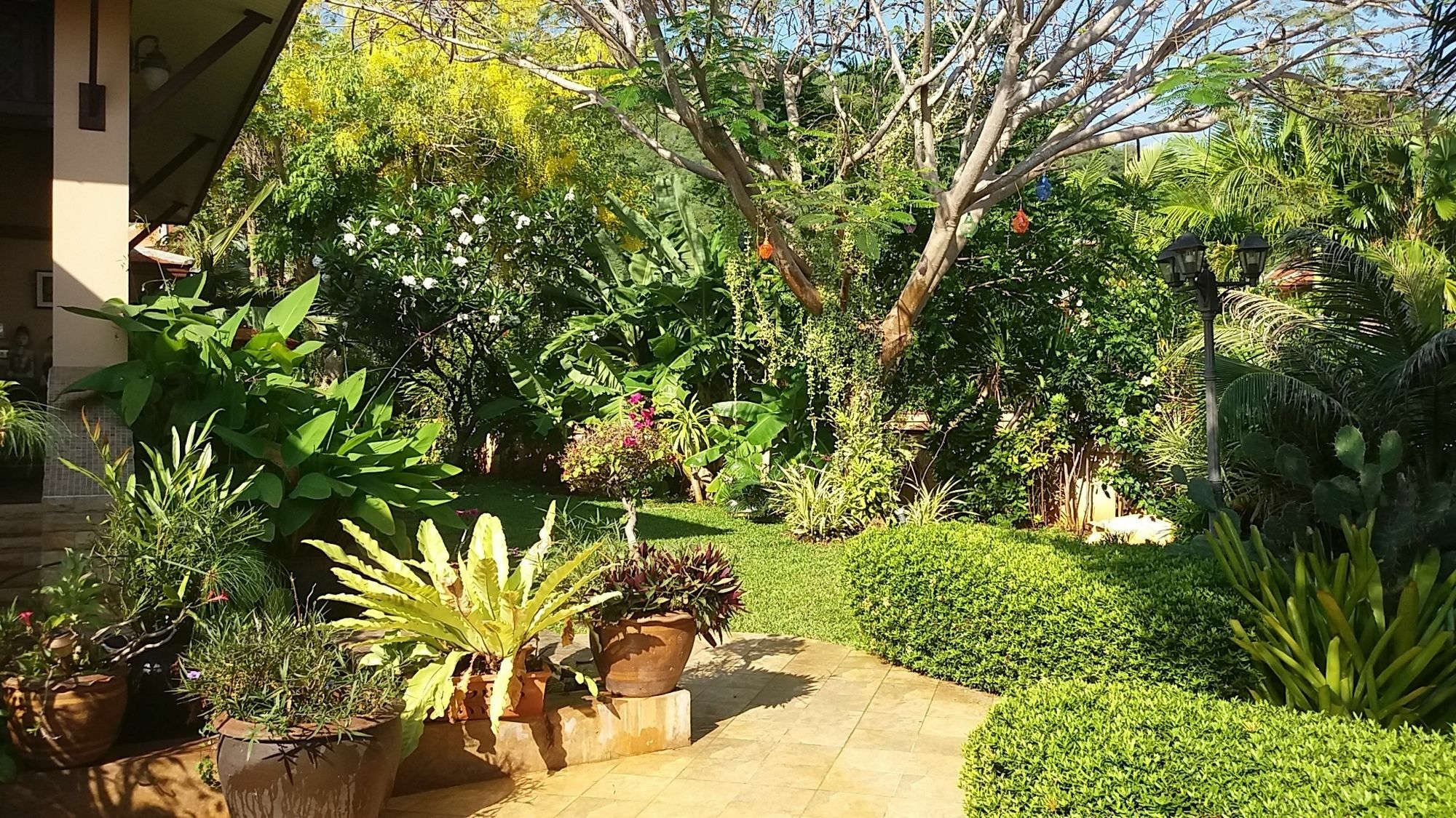 Malee Garden Pran Buri Exterior foto